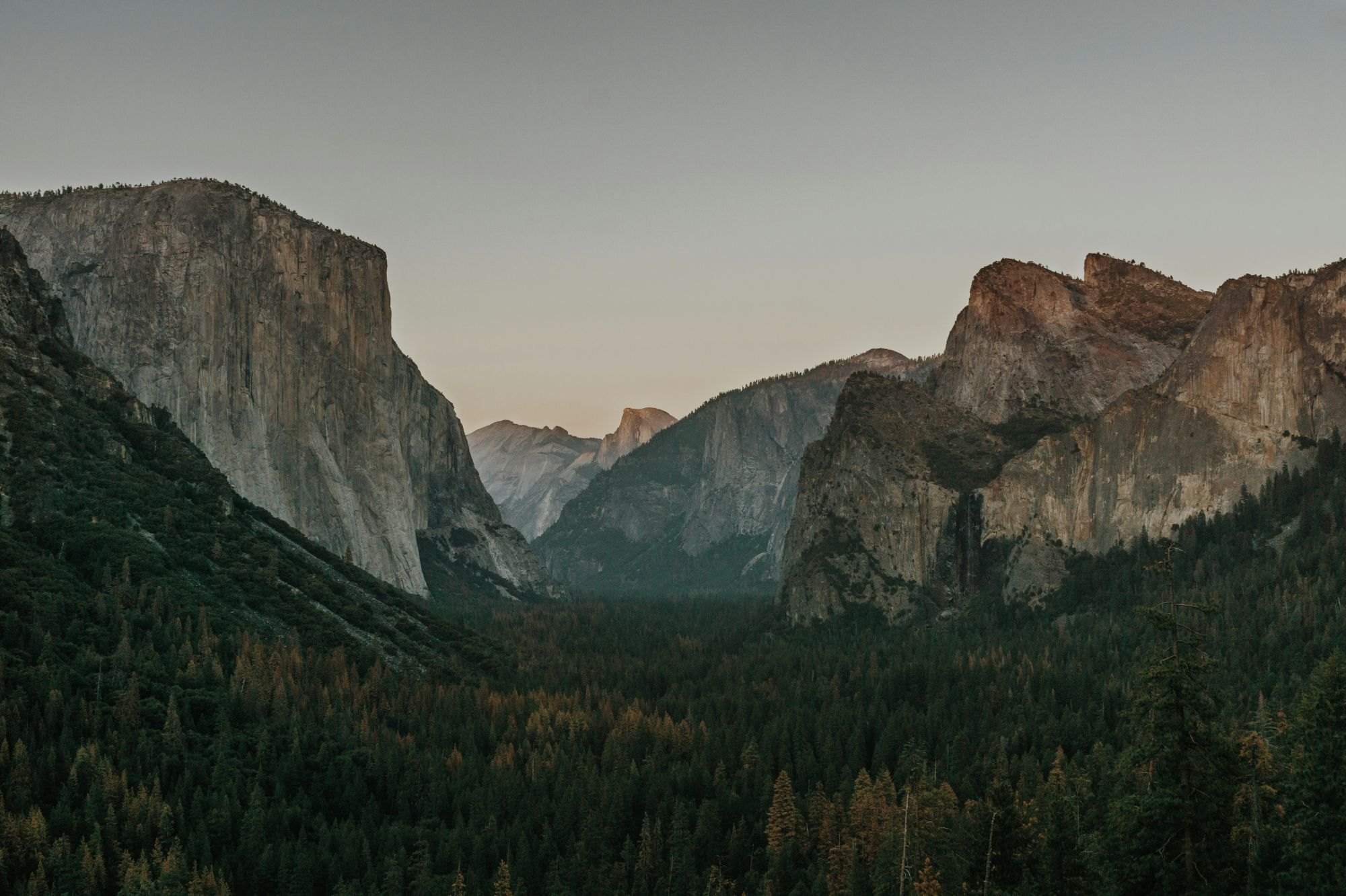 Yosemite Valley at dusk: granite walls above dark conifer forest